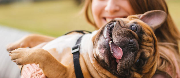 Boosting Your Pet’s Health 