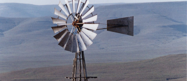 Bloemfontein area information and accommodations